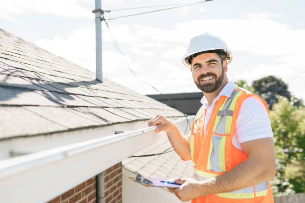 Roof Gutter Cleaning in Forestville, OH
