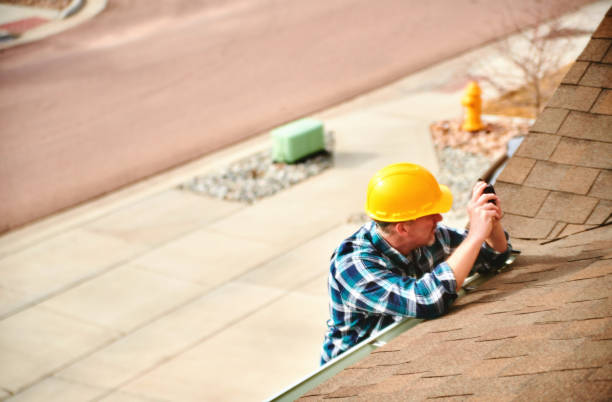 Best New Roof Installation  in Forestville, OH