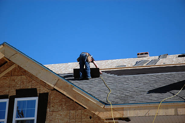 Best Roof Replacement Cost  in Forestville, OH