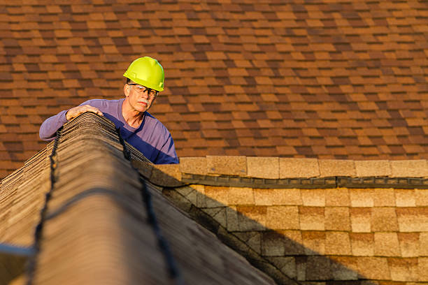 Best Roof Repair Services  in Forestville, OH
