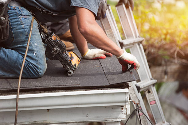 Best Commercial Roofing Services  in Forestville, OH