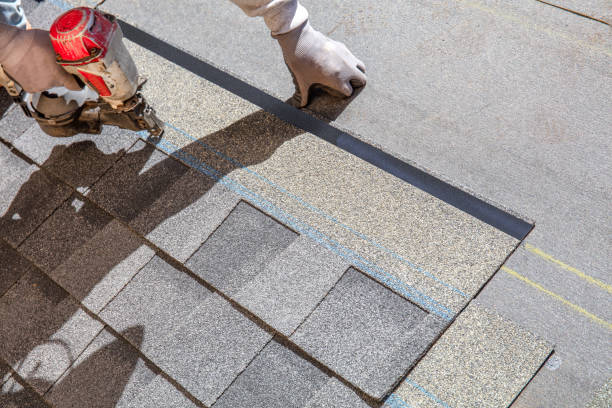 Best Roofing Contractor Near Me  in Forestville, OH