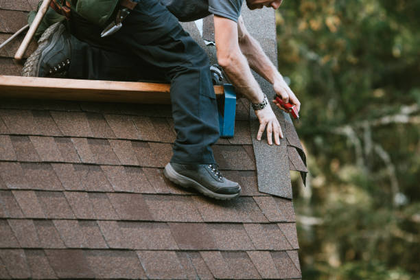 Best Metal Roofing Contractor  in Forestville, OH