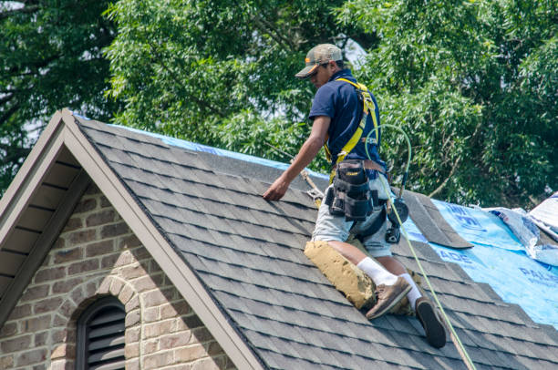 Best Storm Damage Roof Repair  in Forestville, OH
